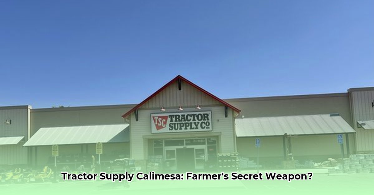 tractor-supply-calimesa-california
